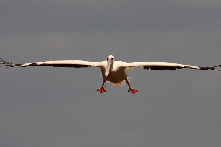 3-Day Arba Minch & Rift Valley Lakes: Lake Chamo Cruise, Dorze Village and Wildlife
