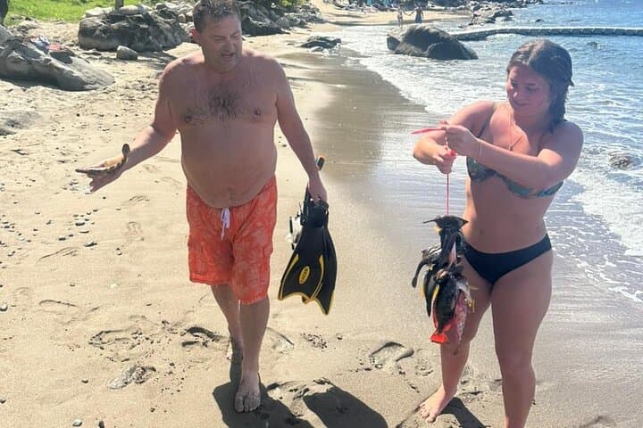 Spearfishing in Soufriere Saint Lucia: Ocean-to-Plate Adventure photo 5