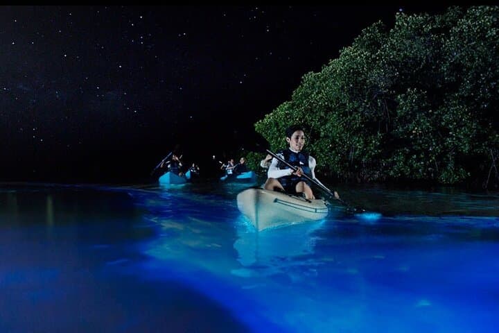 5-Day California Vineyards, Waves & Bioluminescent Kayak Tour photo 4