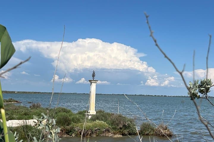 Montpellier Electric Bike Tour: Little Camargue & Étang de l'Or Guided Ride photo 2