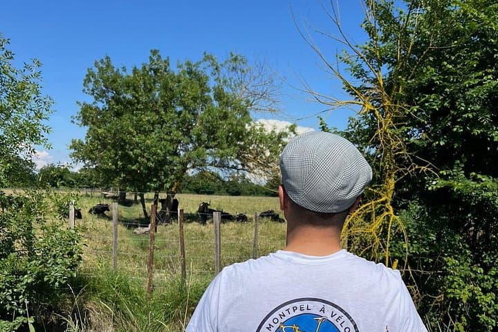 Montpellier Electric Bike Tour: Little Camargue & Étang de l'Or Guided Ride photo 4