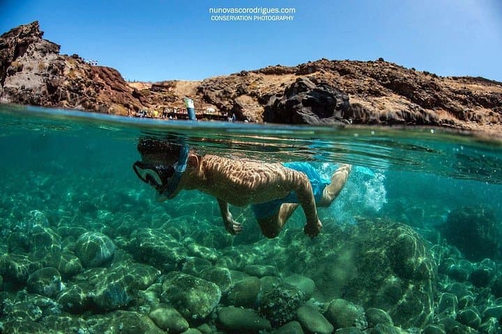 Caniçal Shipwreck Snorkeling, Madeira — Guided Tour & Marine Life