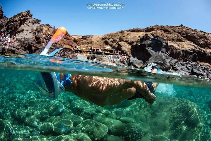 Caniçal Shipwreck Snorkeling, Madeira — Guided Tour & Marine Life photo 2