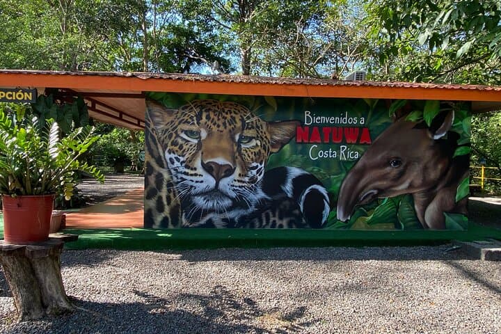Natuwa Wildlife Sanctuary: Rainforest Encounters & Conservation Tours in Puntarenas photo 5