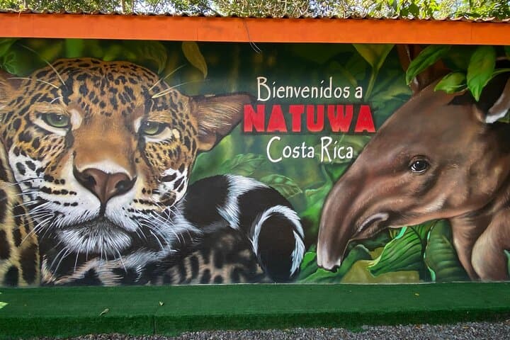 Natuwa Wildlife Sanctuary: Rainforest Encounters & Conservation Tours in Puntarenas photo 4