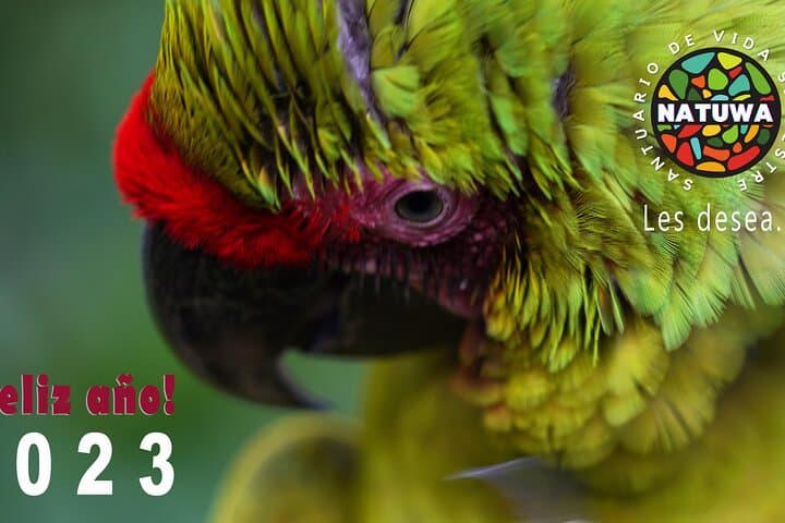 Natuwa Wildlife Sanctuary: Rainforest Encounters & Conservation Tours in Puntarenas photo 2