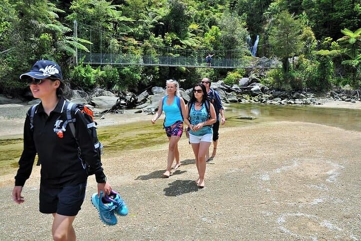 3-Day Abel Tasman Guided Walk — Beachfront Lodges, Coastal Tracks & Boat Transfers photo 6