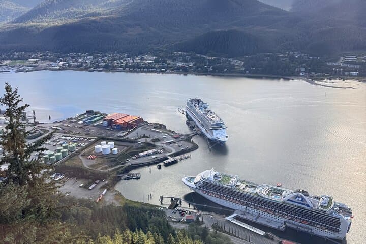 Private Juneau Sightseeing Tour — Mendenhall Glacier, Rainforest Trails & Tlingit Culture