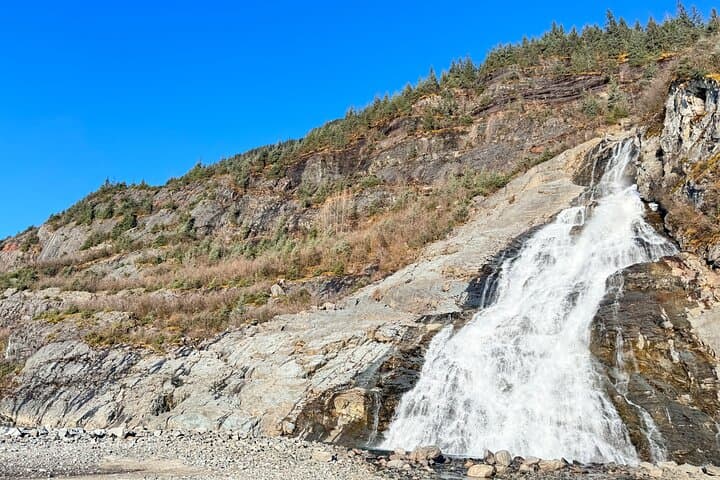Private Juneau Sightseeing Tour — Mendenhall Glacier, Rainforest Trails & Tlingit Culture photo 6