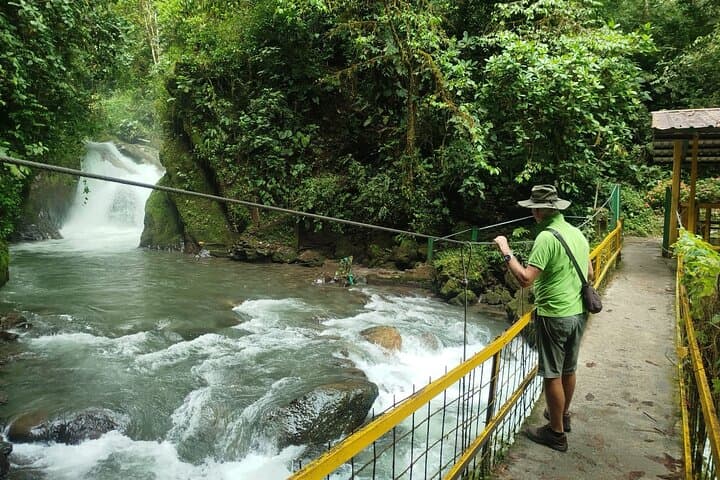 Mindo Cloudforest Day Trip from Quito — Hummingbirds, Waterfalls & Nanegalito Market photo 3