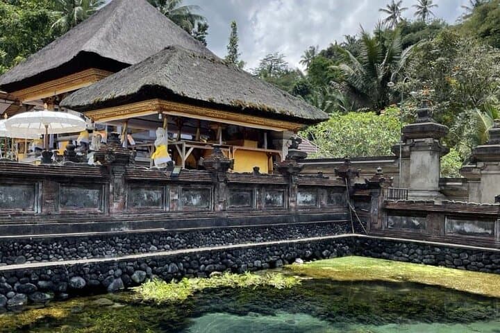 Ubud All-Inclusive Day Tour: Monkey Forest, Tegalalang & Tirta Empul