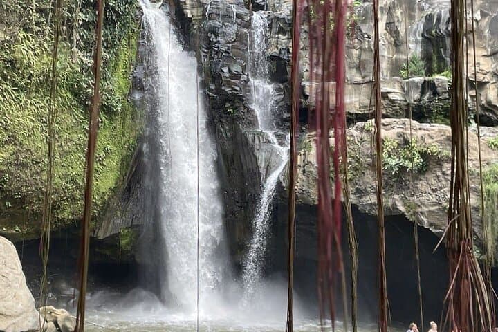 Ubud All-Inclusive Day Tour: Monkey Forest, Tegalalang & Tirta Empul photo 4