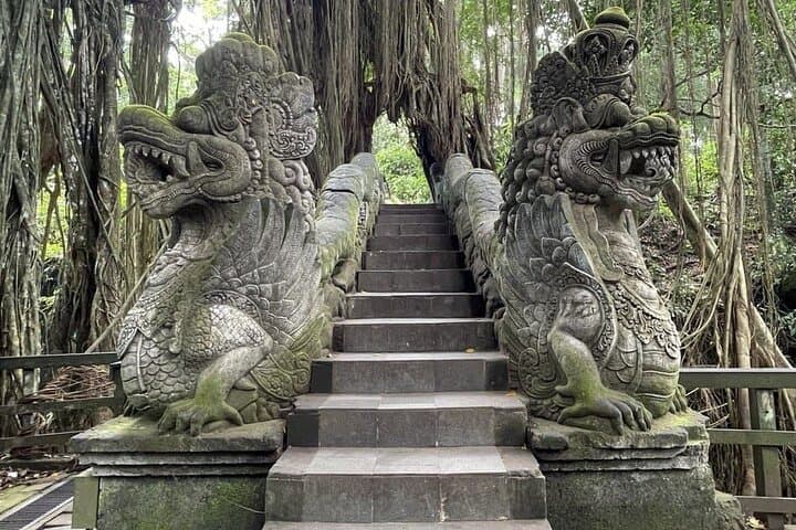 Ubud All-Inclusive Day Tour: Monkey Forest, Tegalalang & Tirta Empul photo 5