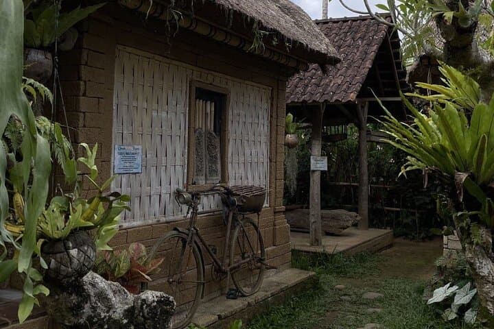 Ubud All-Inclusive Day Tour: Monkey Forest, Tegalalang & Tirta Empul photo 6