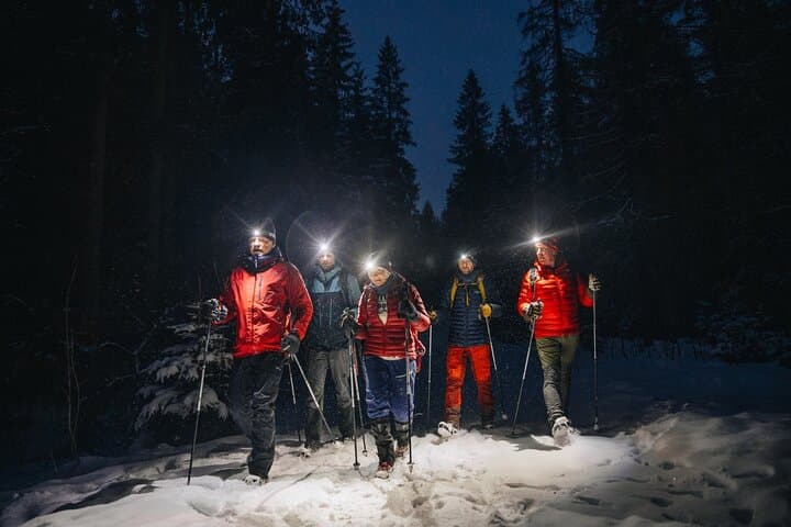 Mystery Nocturne: Private Night Walk with Headlamps in Oslo Forest photo 2