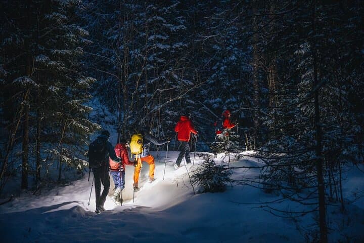 Mystery Nocturne: Private Night Walk with Headlamps in Oslo Forest photo 3