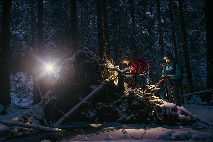 Mystery Nocturne: Private Night Walk with Headlamps in Oslo Forest