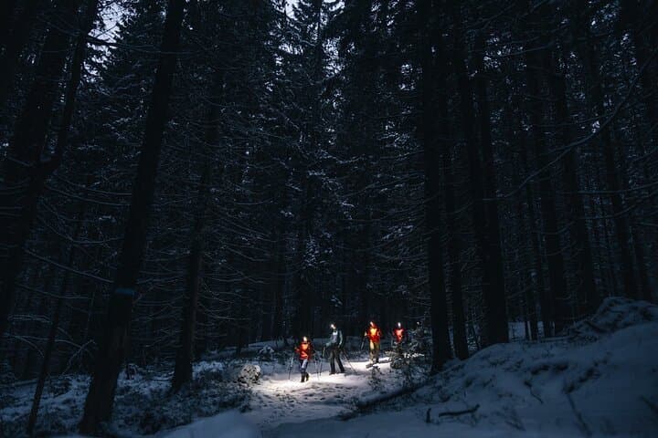 Mystery Nocturne: Private Night Walk with Headlamps in Oslo Forest photo 4