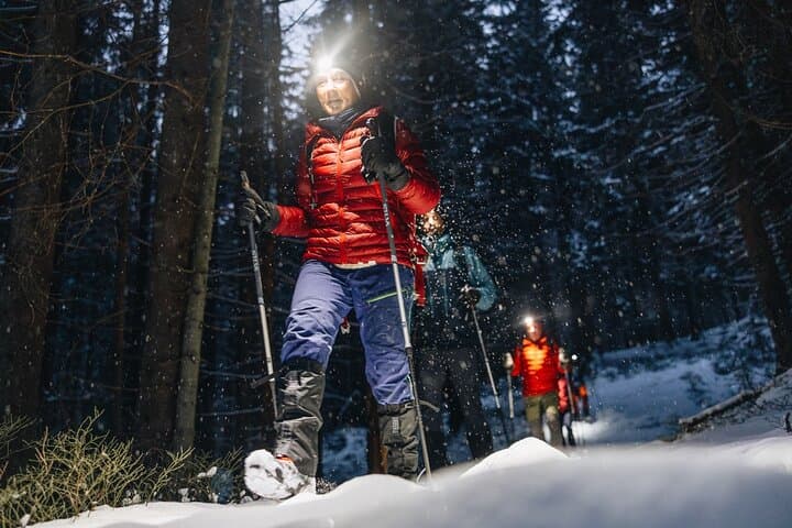 Mystery Nocturne: Private Night Walk with Headlamps in Oslo Forest photo 5