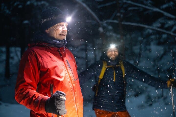 Mystery Nocturne: Private Night Walk with Headlamps in Oslo Forest photo 6