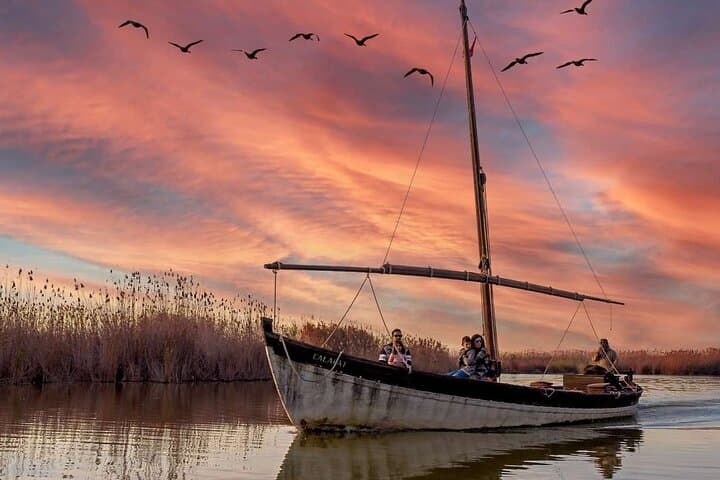Sunset on the Albufera: Boat Tour & Lagoon Walk from Valencia