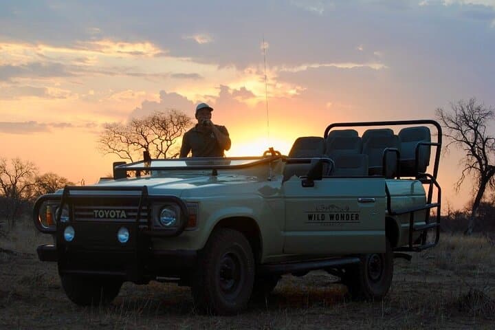 Morning Safari Game Drive from Hoedspruit into the Greater Kruger photo 3