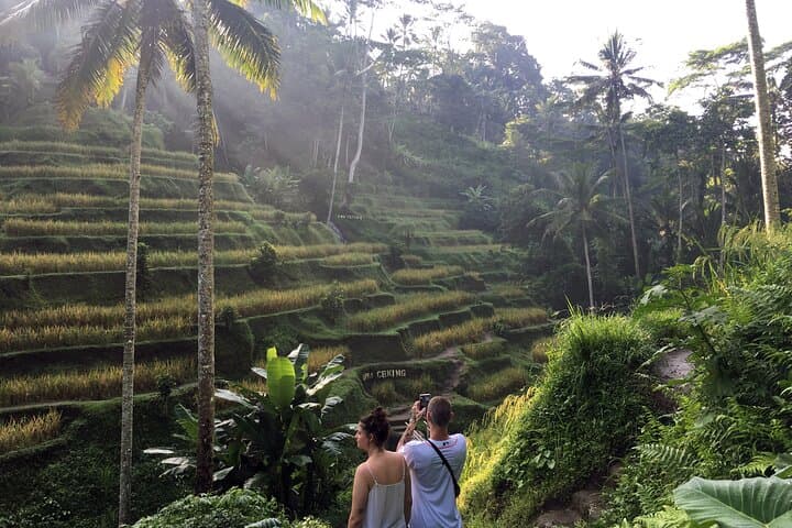 Custom Bali Private Day Tour with English-Speaking Driver — Ubud Temples, Rice Terraces & Waterfalls photo 3