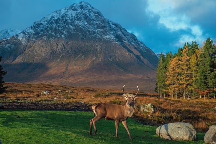 Half-Day Glencoe & Glen Nevis Tour from Fort William — Ben Nevis Views, Waterfalls & History photo 2