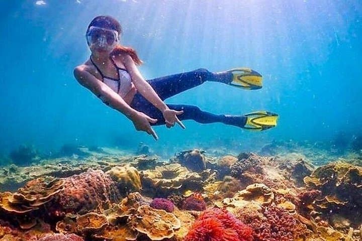 Red Sea Snorkel: White Island & Ras Mohammed Day Trip from Sharm El Sheikh photo 2