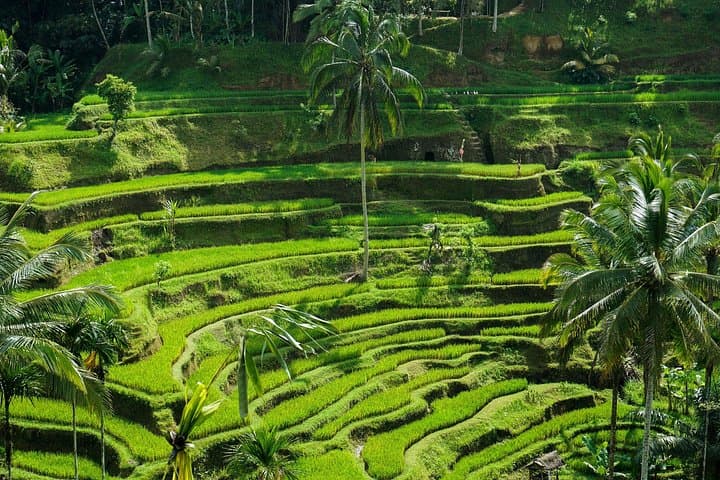 Ubud Highlights: Tukad Cepung Waterfall, Penglipuran & Tirta Empul Day Tour photo 1