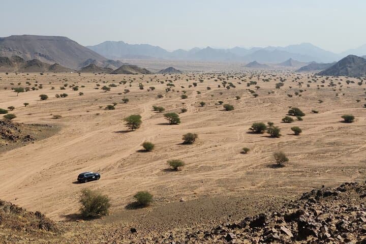 Al Bidaa Mountain Hike — Guided Nature Reserve Trek Near Medina