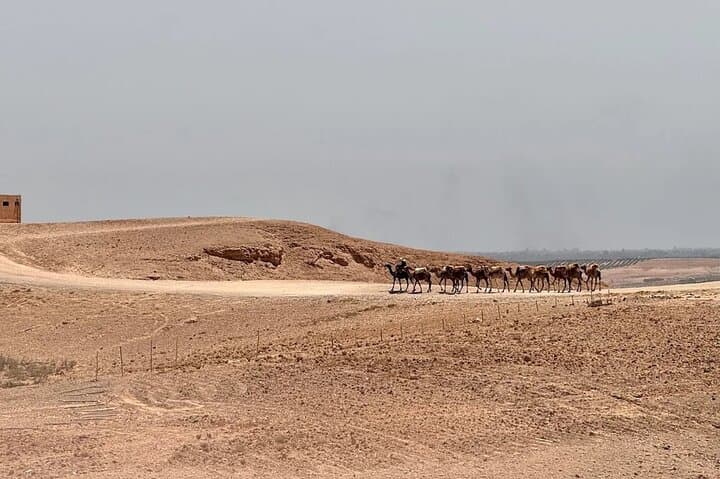 Agafay Off-Road Rush: Quad, Buggy & Raptor Rides from Marrakech photo 4