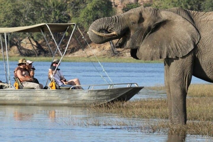 Chobe River Safari: Day Trip from Victoria Falls to Chobe National Park photo 1