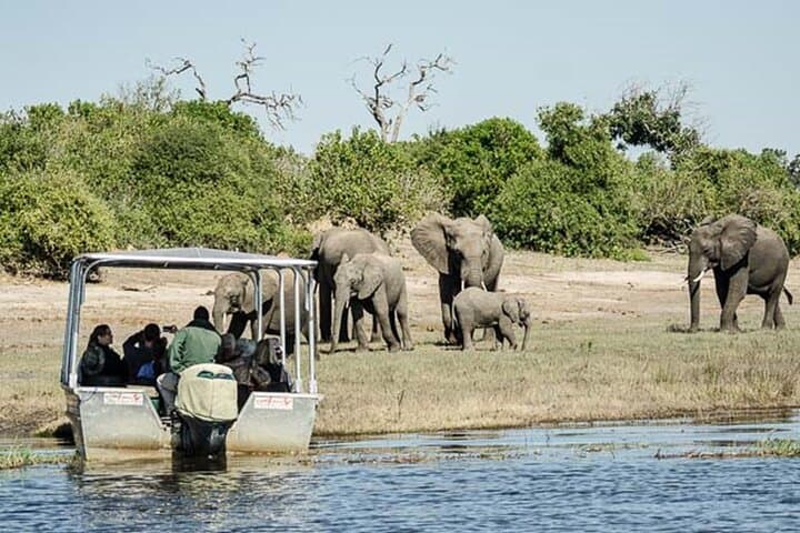 Chobe River Safari: Day Trip from Victoria Falls to Chobe National Park photo 3