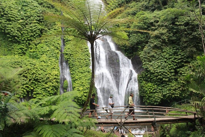 Munduk Private Customized Highlights Tour: Waterfalls, Temples & Rice Terraces photo 5