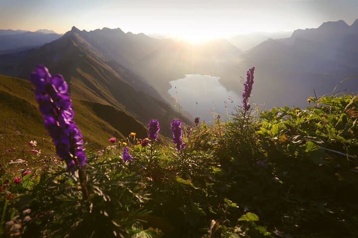 Sunrise Hike to Augstmatthorn: Alpine Vistas and Breakfast Above Lake Brienz photo 5