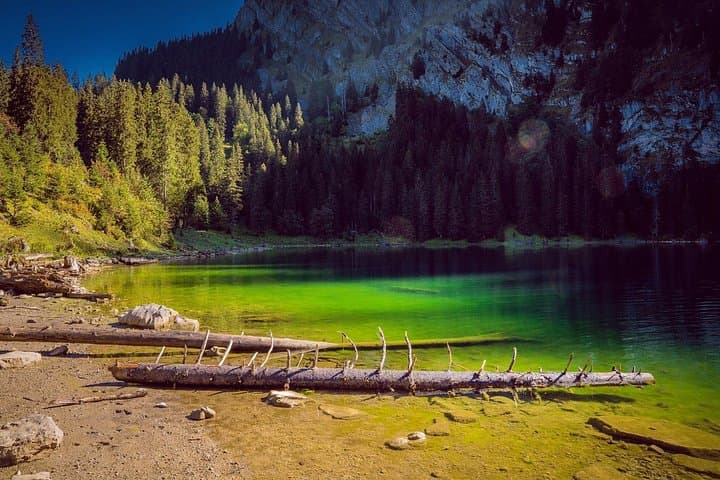 Axalp to Hinterburgseeli: Easy Walk and Lakeside Raclette near Interlaken photo 1