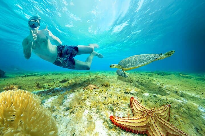 Cozumel El Cielo Snorkel & KUZÁ Beach Day Pass — Reefs, Sandbar & All-Inclusive Beach Club