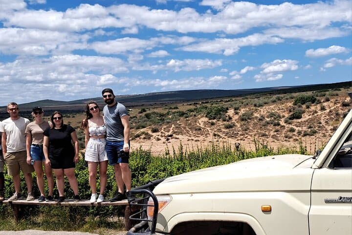 Victoria Falls Rhino Game Drive: 2-Hour Safari & Rhino Tracking Walk photo 4