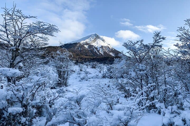 Tierra del Fuego National Park: End of the World Small-Group Tour with Optional Train photo 2