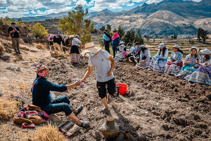 2-Day Colca Living Experience: Condors, Terraces & Andean Homestay
