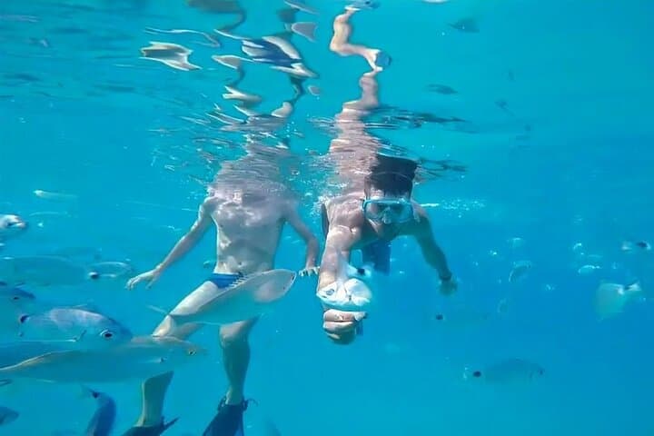 Private Boat Tour Along Cagliari Coastline: Sella del Diavolo & Hidden Coves photo 4