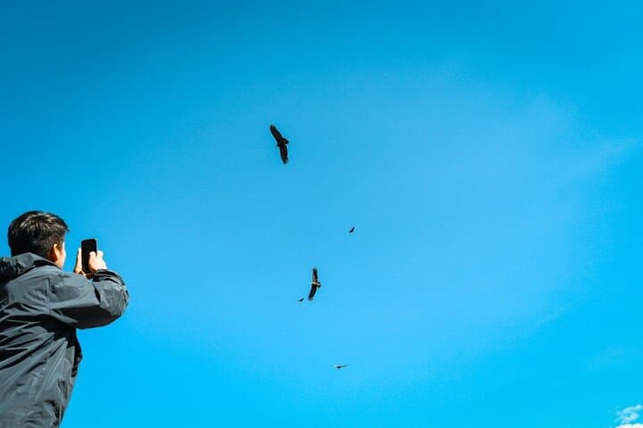 Colca Canyon Full-Day Adventure from Arequipa — Condors, Hot Springs & Ancient Terraces photo 2