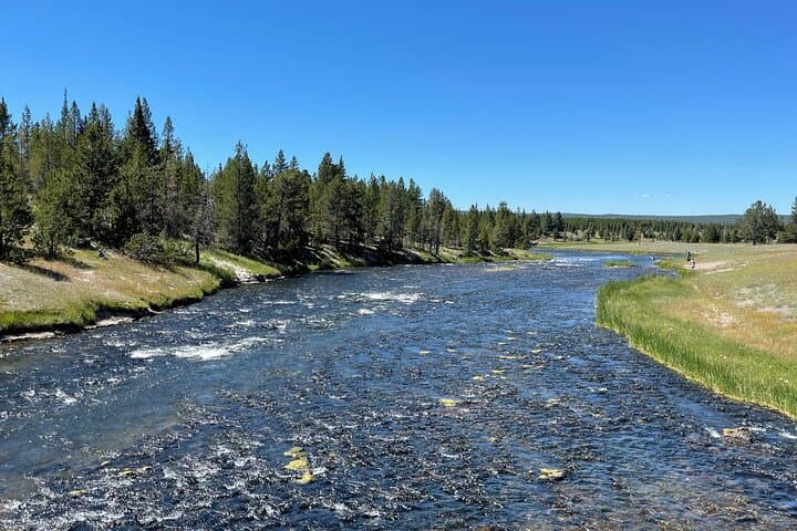 Grand Loop Yellowstone Bus Tour: Old Faithful, Grand Prismatic & Hayden Valley
