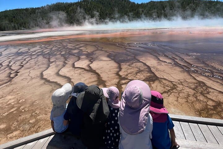Grand Loop Yellowstone Bus Tour: Old Faithful, Grand Prismatic & Hayden Valley photo 2