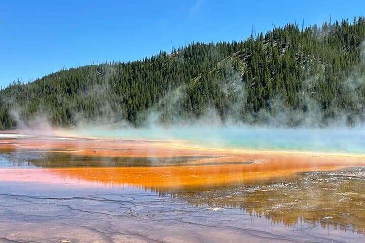 Grand Loop Yellowstone Bus Tour: Old Faithful, Grand Prismatic & Hayden Valley photo 3