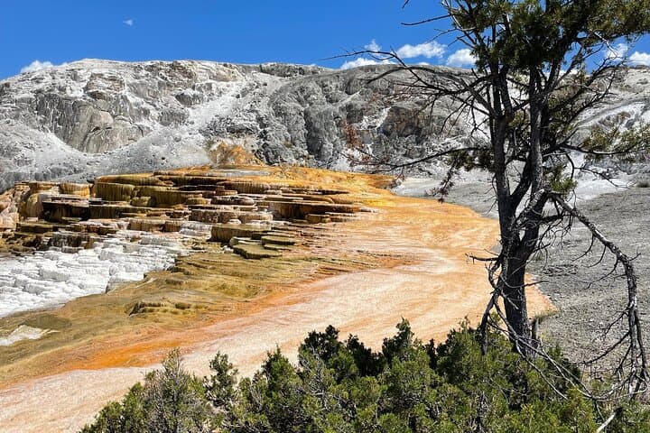 Grand Loop Yellowstone Bus Tour: Old Faithful, Grand Prismatic & Hayden Valley photo 5