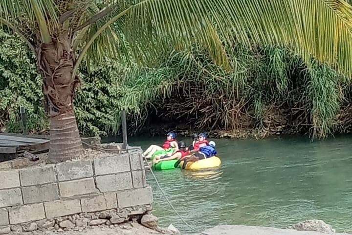 7-Day Jamaica North Coast Eco Adventure: Blue Hole, Rio Grande Rafting, and Blue Mountain Coffee photo 5