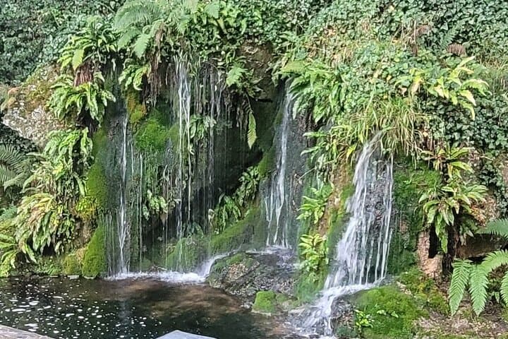 Private Day Tour: Blarney Castle, Killarney & Kenmare — Cork to Kerry Coastal Views photo 2