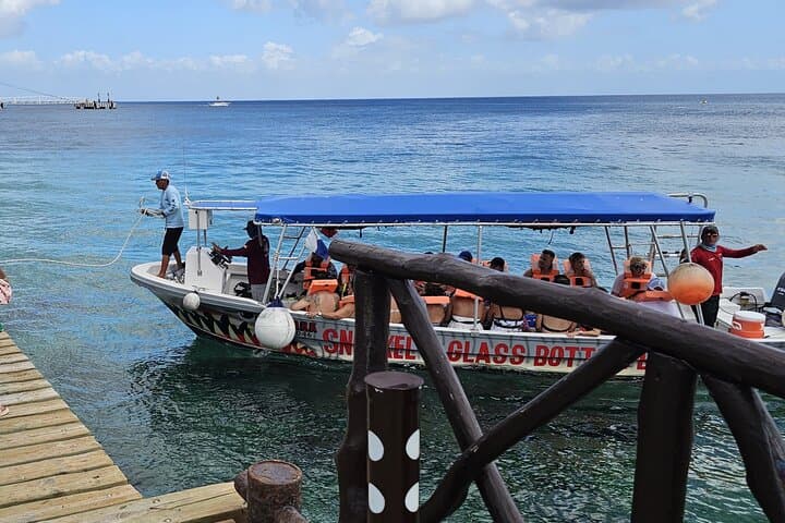 El Cielo Snorkeling Shore Excursion Cozumel for Cruise Passengers photo 4